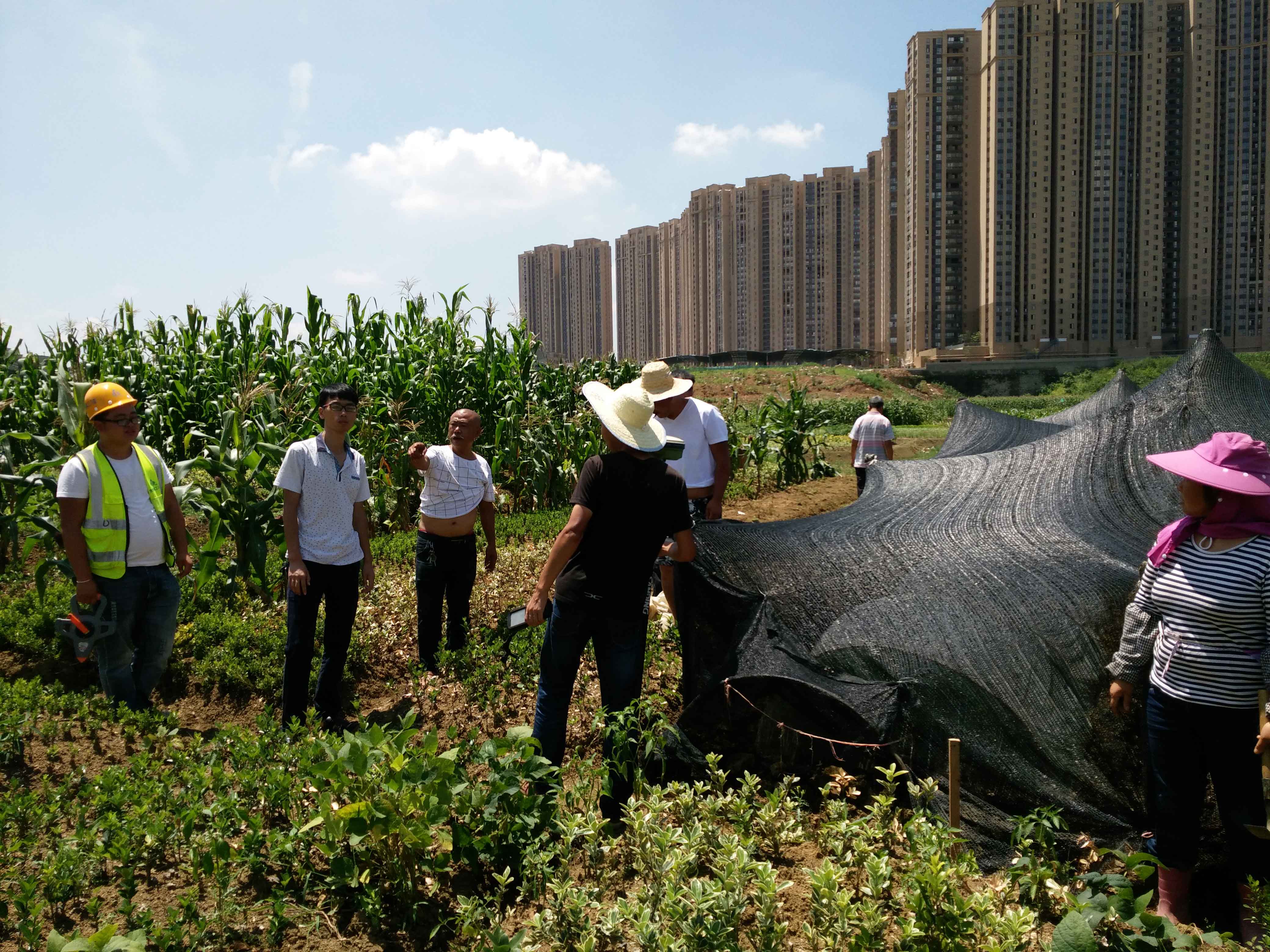 征地測(cè)量